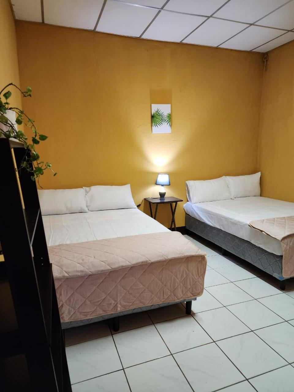 그라나다 Casa Cempoal B&B 외부 사진